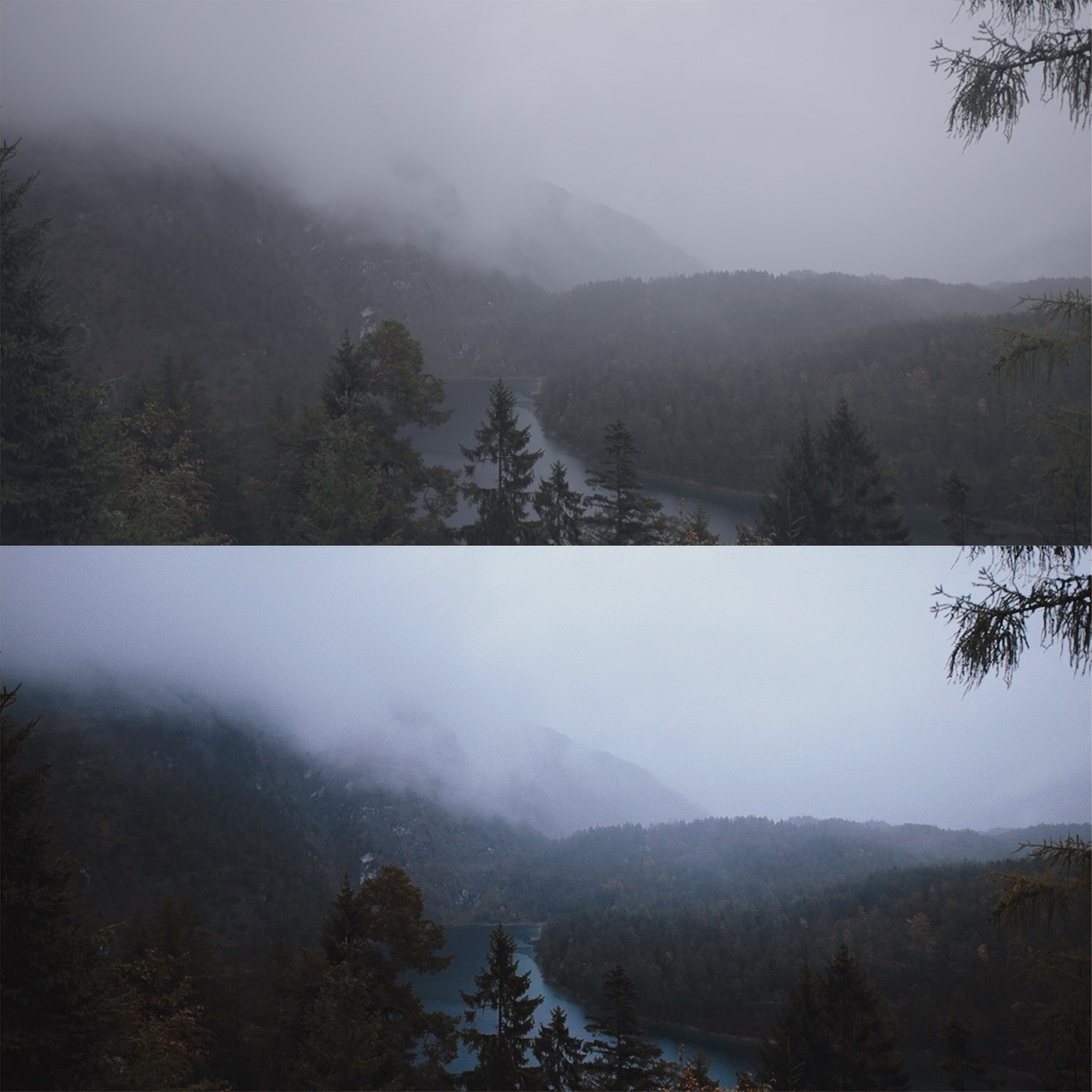 21024544749 21024544749