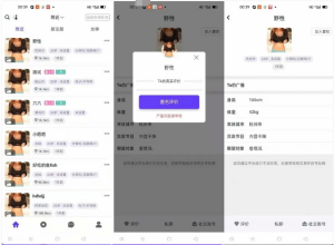 某站价值3000的仿SOUL仿陌陌APP源码-设计师网