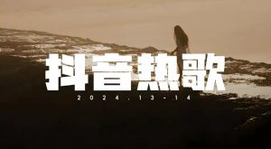 【6月车载U盘无损高音质8000首经典歌曲】抖音热歌推荐带歌词[MP3/FLAC/121.2G]-设计师网